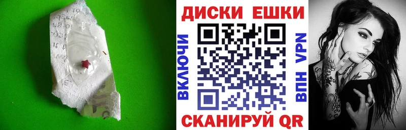 ЭКСТАЗИ Philipp Plein  купить наркотики цена  Абаза 