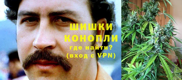 крисы Осташков