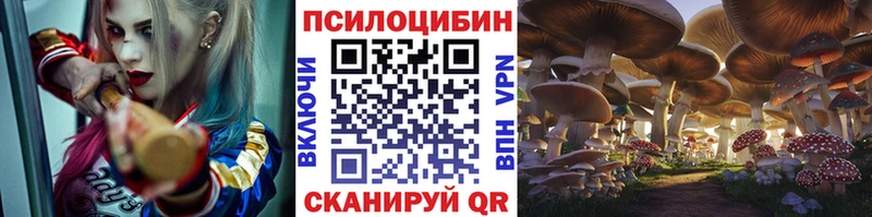 Галлюциногенные грибы Cubensis  Абаза 